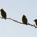 m_hines@sky.com avatar