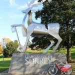 University of Surrey avatar