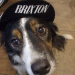 brixtoncycles avatar