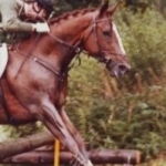 warwick.shaw avatar