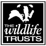 Derbyshire Wildlife Trust avatar