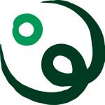 Consortium for Street Children avatar