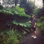 Rhys Owain Williams avatar