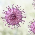 Raising funds for Antibody Tests avatar
