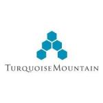 Turquoise Mountain Trust avatar