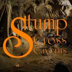 Stump Cross Caverns avatar