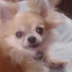 Jayne Stephens avatar