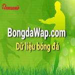 bongdawap com avatar