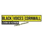 Black Voices Cornwall COP avatar