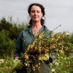 SPINDLE flower barn avatar