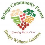 Bridge Community Wellness Gardens - CIO profile