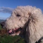 carolyn.schofield avatar