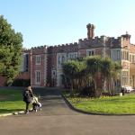 Hastings Museum & Art Gallery profile