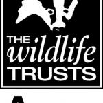 Avon Wildlife Trust profile