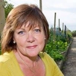 Su Johnston avatar